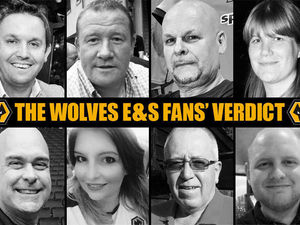 Supporting image for story: VERDICT: Fans acclaim Teixeira after Wolves' win over Brentford
