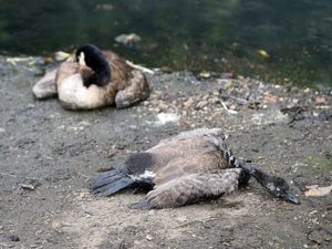 Supporting image for story: 1,000 sign petition for Severn Trent to clean up deadly pool 