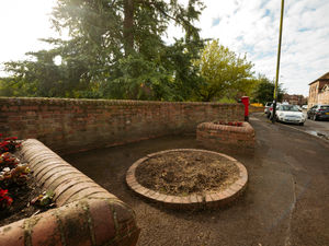Supporting image for story: Going, going, gone – century old tree felled from town's quayside