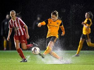 Supporting image for story: Wolves Women return for FA Cup clash