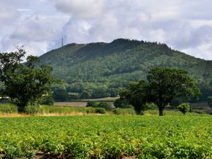 Supporting image for story: How do mon? We asked for your top Shropshire sayings - this is what you told us