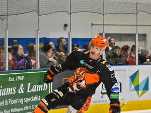 Supporting image for story: Telford Tigers skipper in race to be fit for opening night