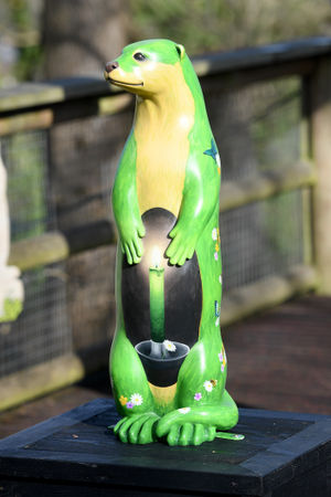 One of the otters on the trail