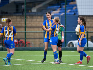 Supporting image for story: Shrewsbury won't get complacent 