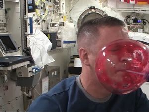 Supporting image for story: This astronaut showed how water works in space – using tropical squash