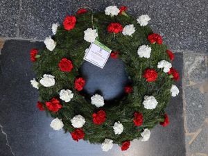 Supporting image for story: Trauma can lead to death from ‘give-up-itis’, study finds