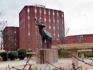 Supporting image for story: £35m revamp for council homes in Cannock