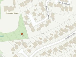 Supporting image for story: Eight protected trees in Telford facing the axe after permission is granted