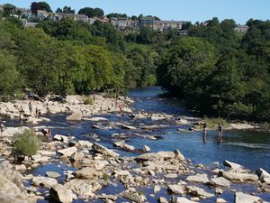 Supporting image for story: PM’s constituency in top 10 of water pollution ranking, investigation finds