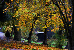 Victoria Park, Darlaston