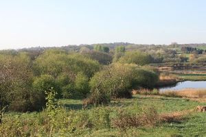 Supporting image for story