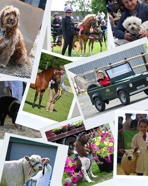 Supporting image for story: Royal Welsh Agricultural Society pulls the plug on its Spring Festival to focus on other projects