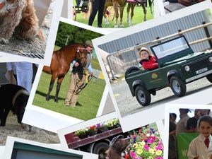 Supporting image for story: Royal Welsh Agricultural Society pulls the plug on its Spring Festival to focus on other projects