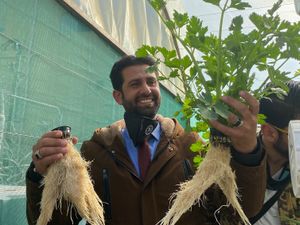 Supporting image for story: Crops grown on urban buildings in Jordan via project backed by Harper Adams expertise