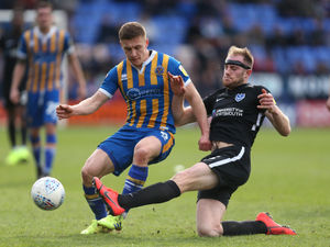 Supporting image for story: Shrewsbury Town 0 Portsmouth 2 - Report and pictures