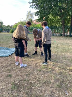 We'll be find building a shelter