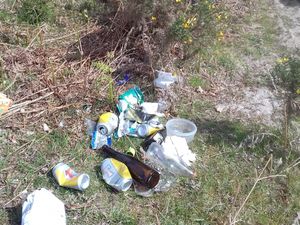 Supporting image for story: Peter Rhodes on littering a loch, grim images of retirement and a "murder" that was no such thing