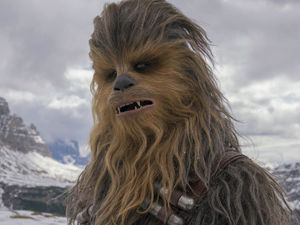 Supporting image for story: Peter Rhodes on a nightmare second referendum, films to cherish and it's cold enough to freeze off what..?