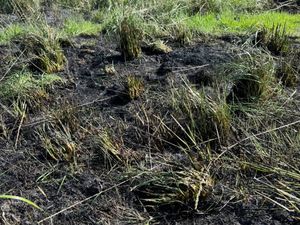 The fire is believed to have been started by a bonfire that was left unattended. Picture: Market Drayton Fire Station.