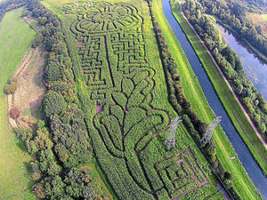 Supporting image for story: Corny idea leads to a-maizing war tribute