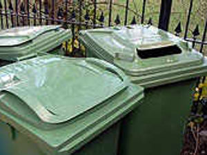 Supporting image for story: Families praised for going green