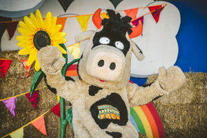 Crumpet the Cow ready for his Big Weekend