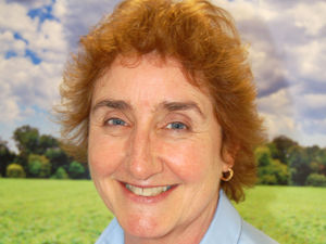 Supporting image for story: New pig club to take flight