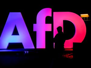 AfD party