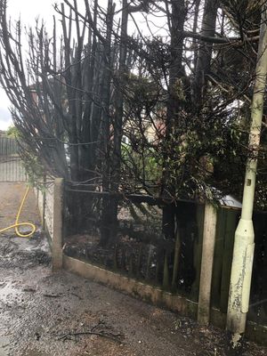 Damage caused by the fire. Photo: @SFRS_MDrayton