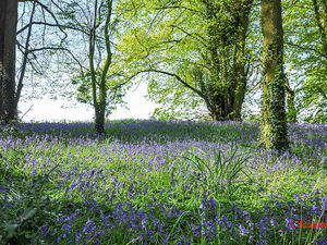 Supporting image for story: Spring