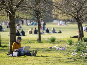 A lady sits in the shade in Regent’s Park, central London.