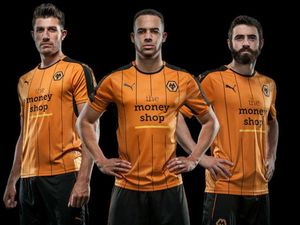Supporting image for story: GALLERY: Wolves last ten kits - what comes out on top?