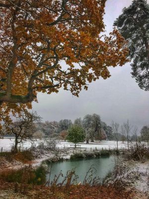 Snap in Oswestry by Helen Taylor 