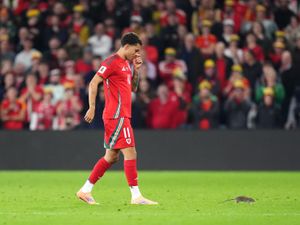 Supporting image for story: Cardiff defend pest control policy after rat halts Wales match