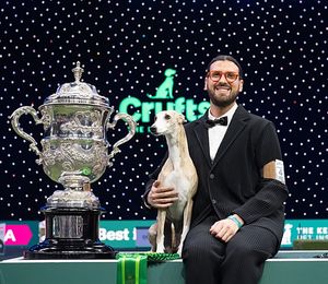 Giovanni Liguori, from Italy, with Miuccia, a Whippet, who won the coveted title of Best in Show at Crufts 2025. Photo: BeatMedia, The Royal Kennel Club
