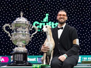 Supporting image for story: Crufts 2026: Tickets on sale as nation's biggest celebration of man's best friend returns to Birmingham in 2026