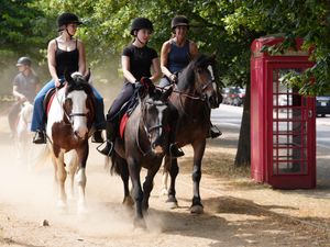 Supporting image for story: Heatwave to peak with temperatures of up to 35C in likely hottest day of year