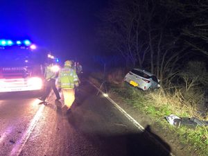 Supporting image for story: Car veers off road and hits tree near Ellesmere