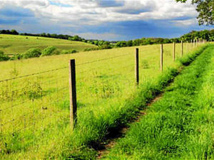 Supporting image for story: Farming Talk: Improving the environment for our wildlife