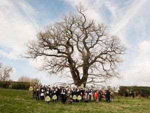 Supporting image for story: Agonising outcome for Shrewsbury's Darwin Oak as Tree of the Year result is announced
