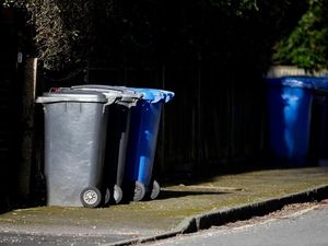 Supporting image for story: Dudley residents can now sign up for extra winter green waste collections