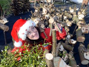 Supporting image for story: Shrewsbury Winter Festival cancelled over safety fears