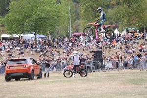 Some of the entertainment at the event. Picture: Telford & Wrekin Council
