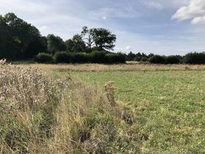 Supporting image for story: Increased payments for farmers to protect the environment