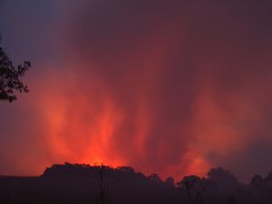 Supporting image for story: Cafe evacuated as Horseshoe Pass blaze continues