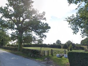 Supporting image for story: Farm plans new dog exercising field in bid to help protect business