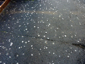 Supporting image for story: Wolverhampton Council gets a £20,000 grant to rid the streets of chewing gum