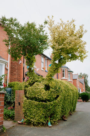 Ashley, the Ashley Street caterpillar 