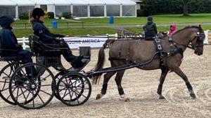 Deborah was left paralysed after the 1997 incident, however, it never stopped her doing what she loves