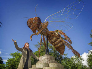 Supporting image for story: Ellesmere abuzz over giant bee sculpture
